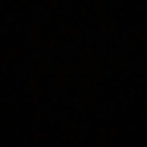 Meet your Posher, Maddie